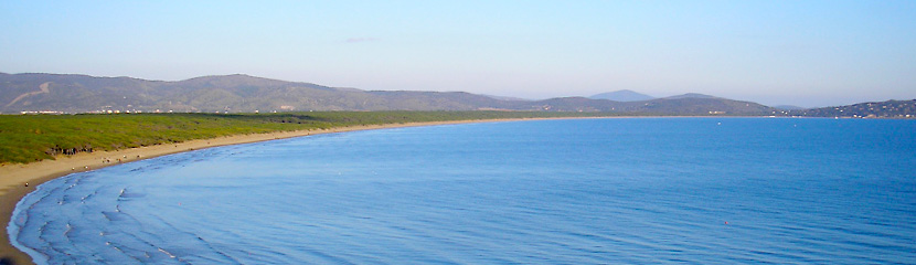 Pinienwald und Strand von Feniglia auf dem Argentario